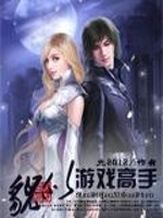 【妙手作家光2012】貌似游戏高手txt全集阅读