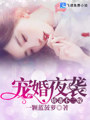 【妙手作家一颗蓝菠萝】宠婚夜袭：娇妻不二嫁txt全集阅读