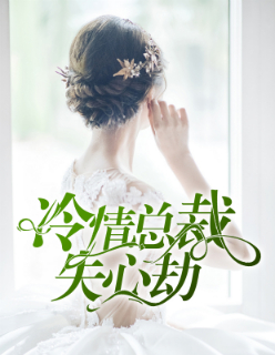 【主角沈婉清叶臻】冷情总裁失心劫txt全集阅读