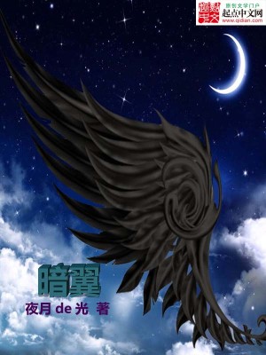 【妙手作家傲雪弄秋霜】暗，翼txt全集阅读