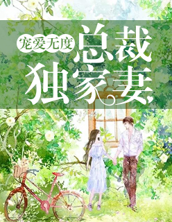 【主角黎浅陆天擎】宠爱无度：总裁独家妻txt全集阅读