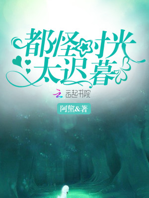 【妙手作家阿黧】都怪时光太迟暮txt全集阅读