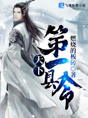【妙手作家燃烧的板砖】天下第一县令txt全集阅读