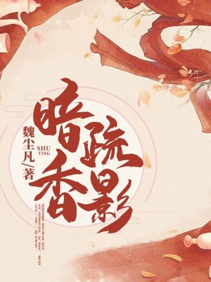 【妙手作家梅朵】暗香疏影txt全集阅读