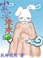 【妙手作家练霓彩】小兔子乖乖txt全集阅读