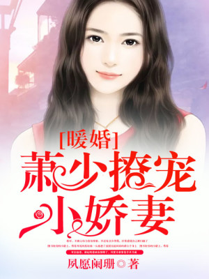 【妙手作家夙愿阑珊】暖婚：萧少撩宠小娇妻txt全集阅读
