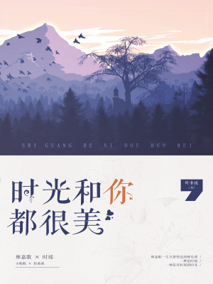 【妙手作家叶非夜】时光和你都很美txt全集阅读