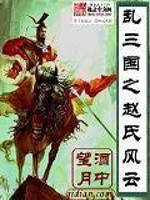 【妙手作家酒中望月】乱三国之赵氏风云txt全集阅读