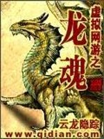 【妙手作家云龙隐踪】虚拟网游之龙魂txt全集阅读