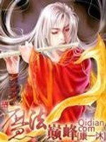 【妙手作家康一沐】魔法巅峰txt全集阅读