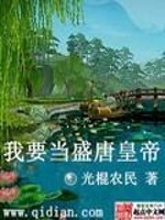 【妙手作家光棍农民.QD】我要当盛唐皇帝txt全集阅读