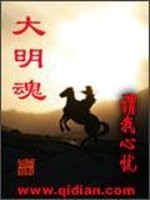 【妙手作家谓我心忧】大明魂txt全集阅读