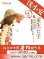 【妙手作家游7】沈小安的重生日子txt全集阅读