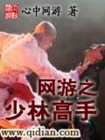 【妙手作家心中网游】网游之少林高手txt全集阅读