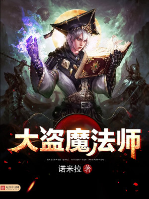 【妙手作家诺米拉】大盗魔法师txt全集阅读