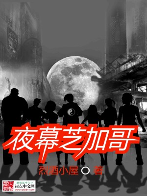 【妙手作家烈酒小屋】夜幕芝加哥txt全集阅读