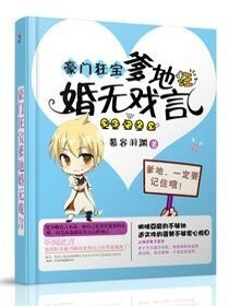 【妙手作家慕容羽渊】豪门狂宝爹地婚无戏言txt全集阅读