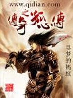 【妙手作家寻梦的蚂蚁】传奇之孤心传txt全集阅读