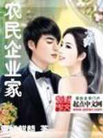 【妙手作家雪虹麒麟】农民企业家txt全集阅读