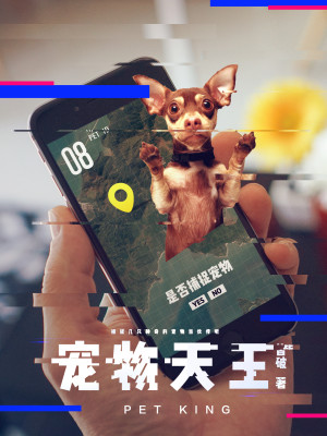 【主角张子安张万国】宠物天王txt全集阅读