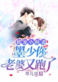 【主角安景墨苏暖】独宠小娇妻：墨少，你老婆又跑了txt全集阅读