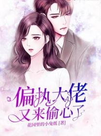 【主角凌时衍时念】偏执大佬又来偷心了txt全集阅读
