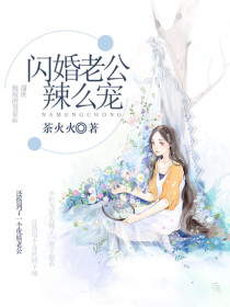 【主角秦意欢司少琛】闪婚老公辣么宠txt全集阅读