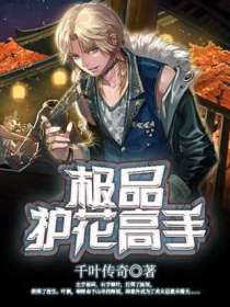 【妙手作家千叶传奇】极品护花高手txt全集阅读