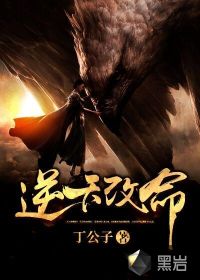 【妙手作家丁公子】逆天改命txt全集阅读