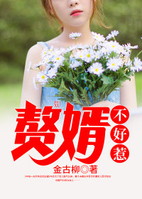 【主角苏萧欧阳雅兰】赘婿不好惹txt全集阅读