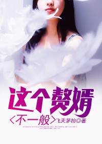【妙手作家飞天茅抬】这个赘婿不一般txt全集阅读