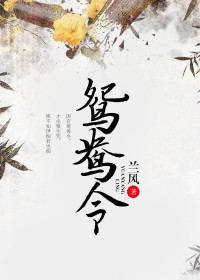 【妙手作家兰风】鸳鸯令txt全集阅读