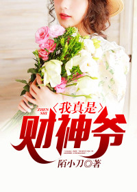【主角丁小希曲晓玲】我真是财神爷txt全集阅读