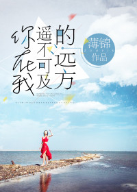 【妙手作家薄锦】你在我遥不可及的远方txt全集阅读