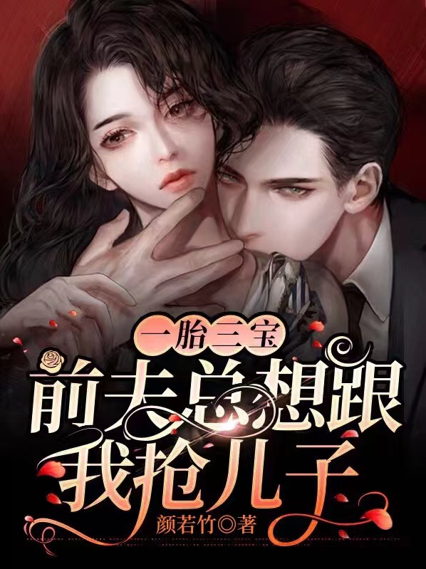 一胎三宝：前夫总想跟我抢儿子全文免费完整版阅读_盛晚溪,贺擎舟_一胎三宝：前夫总想跟我抢儿子最新章节更新全集