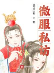 微服私访全文免费完整版阅读_朱元璋,李进_微服私访最新章节更新全集