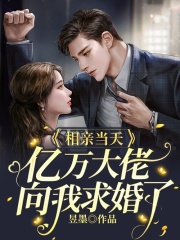 相亲当天，亿万大佬向我求婚了全文免费完整版阅读_鹿溪_相亲当天，亿万大佬向我求婚了最新章节更新全集