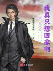 缅北之王：我真只想回家啊全文免费完整版阅读_陈沉,鲍启_缅北之王：我真只想回家啊最新章节更新全集