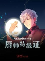 厨师特级证全文免费完整版阅读_叶南,唐灵儿_厨师特级证最新章节更新全集