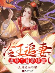 冷王追妻：通房丫鬟带球跑全文免费完整版阅读_林九棉,君无陌_冷王追妻：通房丫鬟带球跑最新章节更新全集