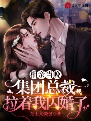 相亲当晚，集团总裁拉着我闪婚了全文免费完整版阅读_夏知初,司墨辰_相亲当晚，集团总裁拉着我闪婚了最新章节更新全集