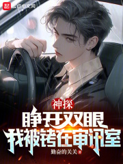 神探：睁开双眼，我被铐在审讯室全文免费完整版阅读_陈益,王立华_神探：睁开双眼，我被铐在审讯室最新章节更新全集