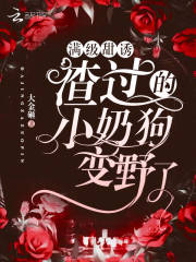 【主角沈荞西穆尧】满级甜诱！渣过的小奶狗变野了txt全集阅读