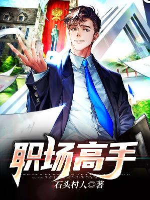 【主角宋浩白雪】职场高手txt全集阅读