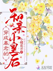 穿成暴君的和亲小皇后全文免费完整版阅读_秦落羽,陵君行_穿成暴君的和亲小皇后最新章节更新全集
