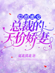 隐婚蜜爱：总裁的天价娇妻全文免费完整版阅读_伊然,慕擎夜_隐婚蜜爱：总裁的天价娇妻最新章节更新全集