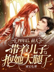 四年后，前夫带着儿子抱她大腿了全文免费完整版阅读_沈颖汐,盛淮渊_四年后，前夫带着儿子抱她大腿了最新章节更新全集