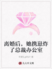 离婚后，她携崽炸了总裁办公室全文免费完整版阅读_时锦,司宸_离婚后，她携崽炸了总裁办公室最新章节更新全集