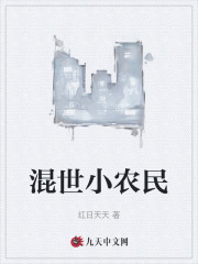混世小农民全文免费完整版阅读_洪小宝,田丽珍_混世小农民最新章节更新全集