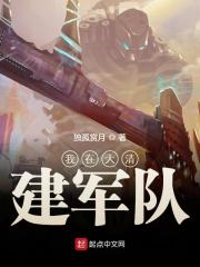 我在大清建军队全文免费完整版阅读_董书恒,慧儿_我在大清建军队最新章节更新全集